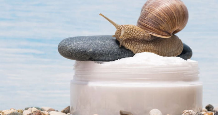 Bave d’escargot : la révolution cosmétique