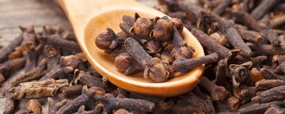 clou-de-girofle-cuillere-bois