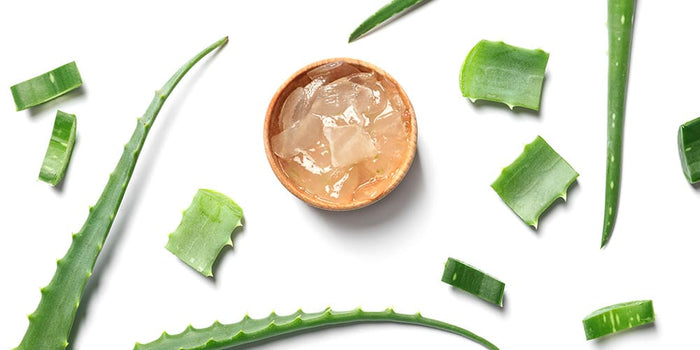 Aloe Vera, tous les bienfaits beauté et santé de cet hydratant naturel
