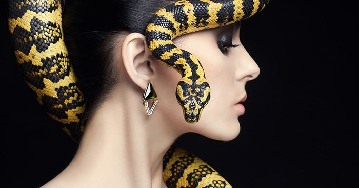 Découvrez les bienfaits du venin de serpent - Phytoceutic