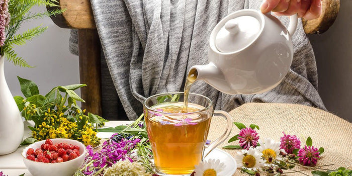 Digestion, immunité, sommeil : savourez les bienfaits des tisanes - Phytoceutic