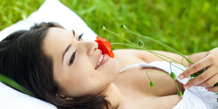 Coquelicot en phytothérapie : retrouvez le sommeil !