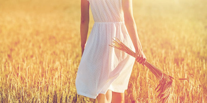 Phytocéramides : origines et bienfaits pour l'organisme