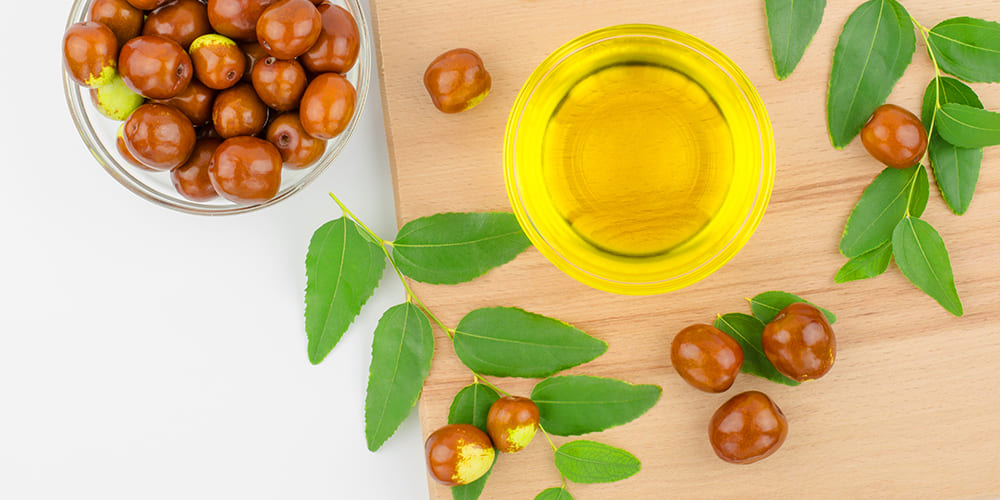 Le jojoba : définition, utilisations, bienfaits