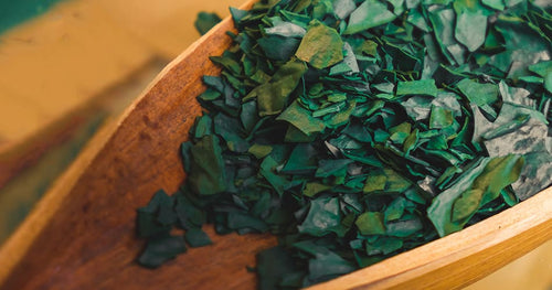 spiruline copeaux