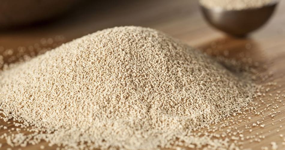 La levure de bière, une alliée beauté et santé - Phytoceutic