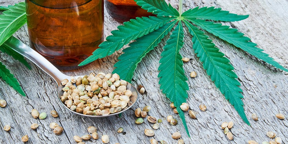 Le chanvre : une plante généreuse aux nombreux bienfaits - Phytoceutic