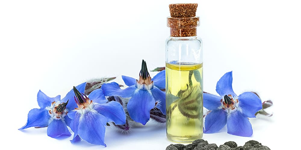 Les bienfaits de l'huile de bourrache - Phytoceutic