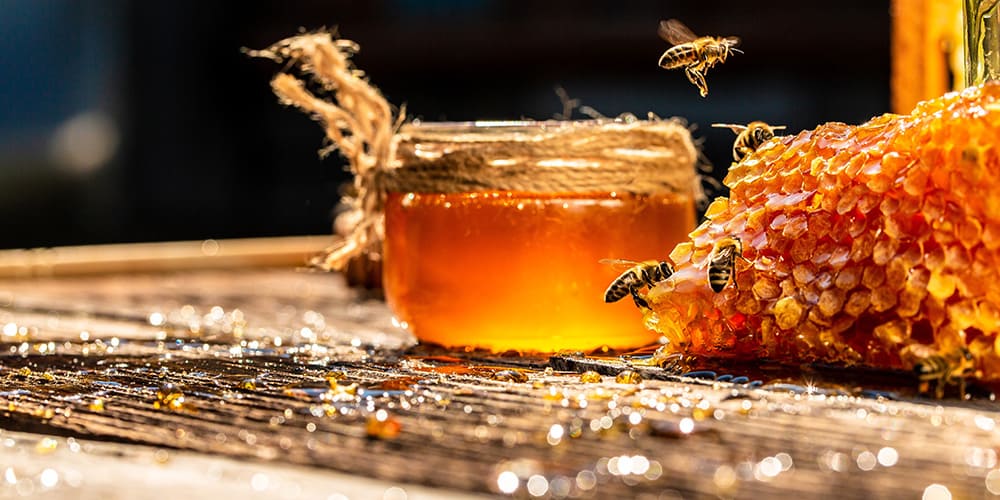 Tonus, immunité, confort respiratoire : quel actif de la ruche choisir ?