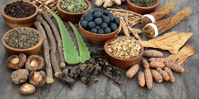 Tous les bienfaits des plantes adaptogènes