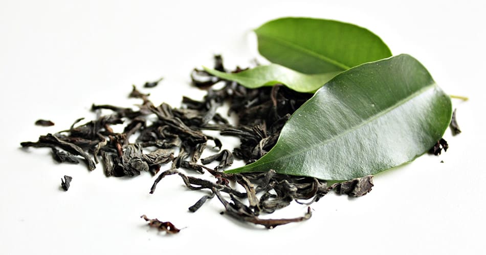 Thé vert : un ingrédient minceur naturel ! - Phytoceutic