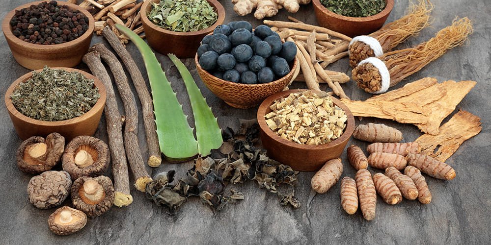 Tous les bienfaits des plantes adaptogènes - Phytoceutic