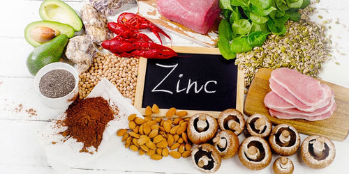 Tout savoir sur le Zinc : bienfaits, carences, sources alimentaires - Phytoceutic