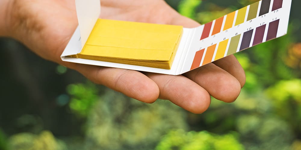 Tout savoir sur l'équilibre acido basique - Phytoceutic