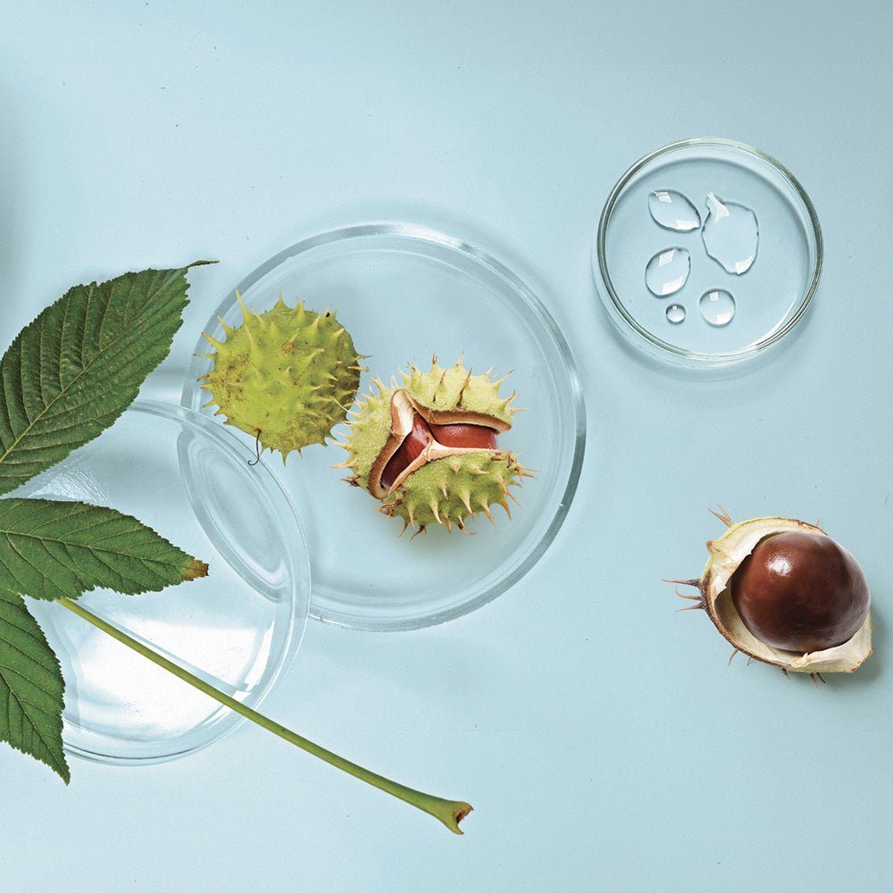 Après - Shampooing Hydrate - Phytoceutic