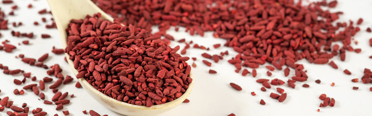Levure de riz rouge, bienfaits – Phytoceutic