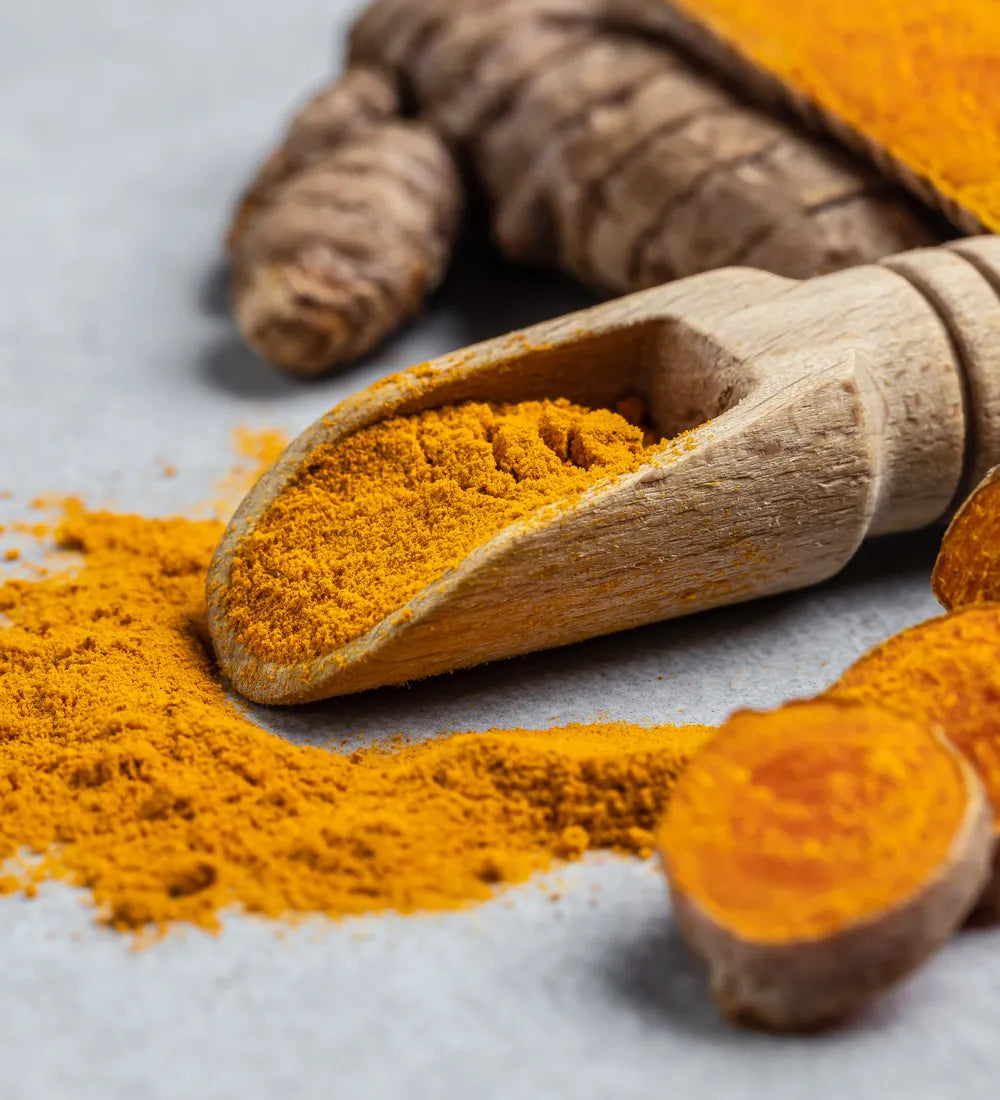 Poudre de curcuma dans une cuillère en bois et racines de curcuma