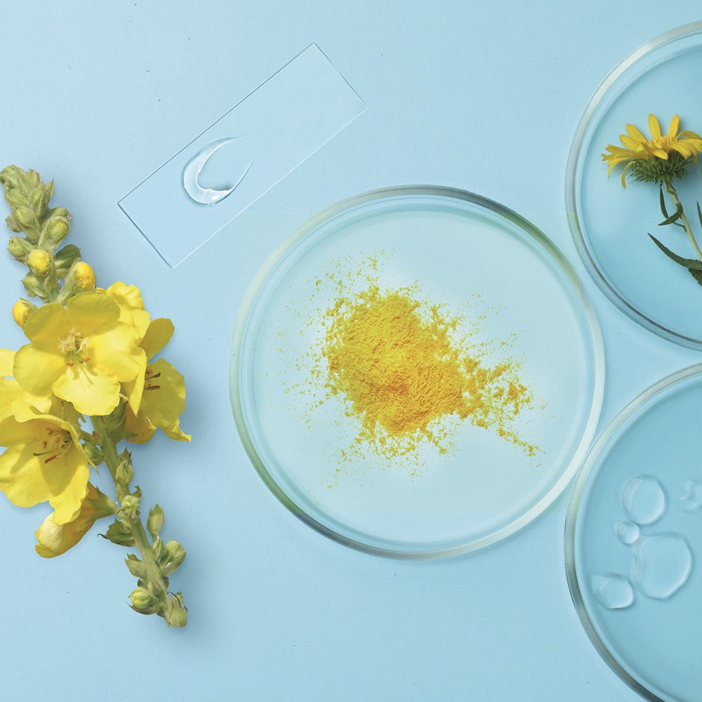 Shampooing hydrate - Phytoceutic