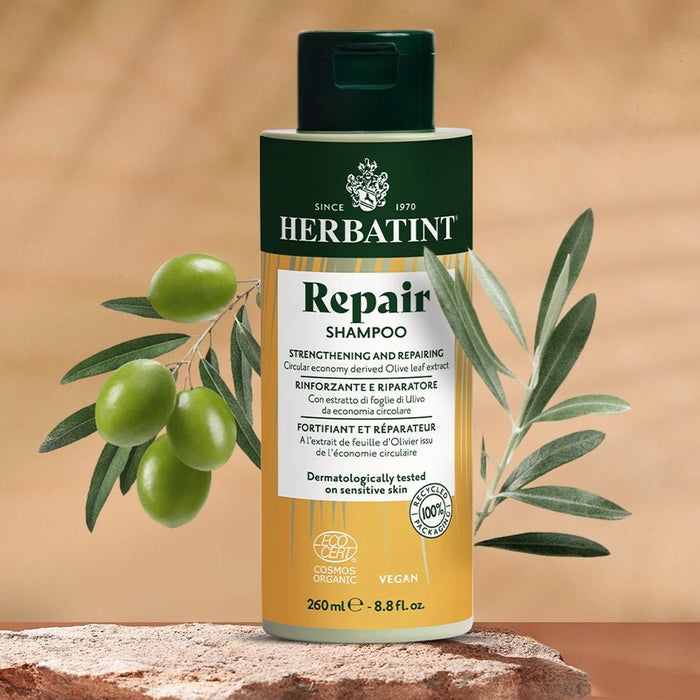 Shampooing repair Moringa - Phytoceutic