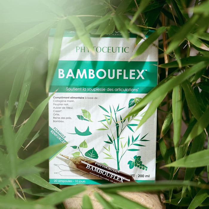 bambouflex ampoules feuilles